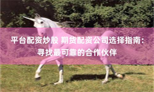 平台配资炒股 期货配资公司选择指南：寻找最可靠的合作伙伴